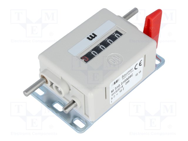 BAUMER M310.010A06C