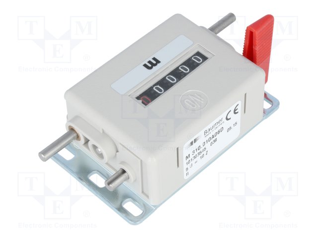 BAUMER M310.010A06D