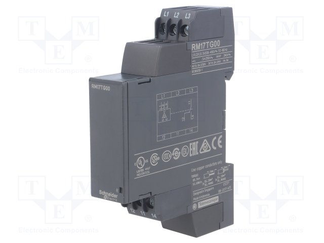 SCHNEIDER ELECTRIC RM17TG00