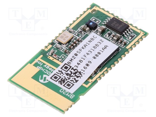 MICROCHIP TECHNOLOGY BM20SPKA1NBC-0001AA