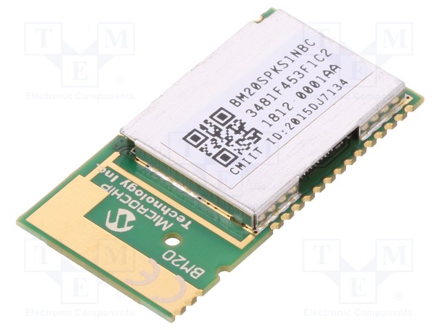 MICROCHIP TECHNOLOGY BM20SPKS1NBC-0001AA