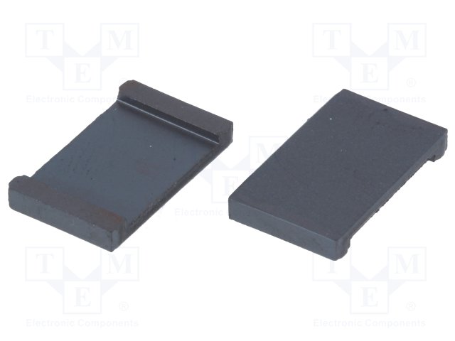 RICHCO RFP2-10-10-A5